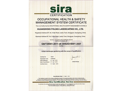 职业健康体系英文