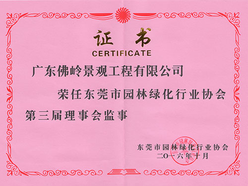 市协会监事证书