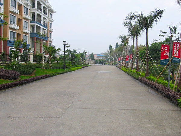 水印长堤园林绿化工程