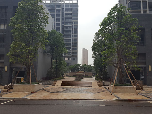 宇丰名苑商住区园林景...